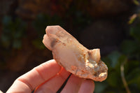 Natural Red Hematoid Phantom Quartz Crystals  x 35 From Karoi, Zimbabwe - TopRock