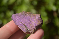 Natural Selected Purpurite Cobbed Specimens  x 14 From Namibia - TopRock