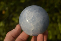 Polished Blue Calcite Spheres  x 3 From Ihadilalana, Madagascar