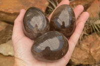 Polished Large Morion Smokey Quartz Eggs x 5 From Madagascar - TopRock