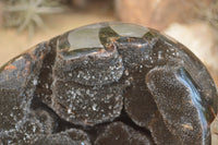 Polished Septerye Sauvage "Dragons Egg" x 1 From Mahajanga, Madagascar - TopRock