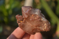 Natural Red Hematoid Quartz Specimens x 24 From Karoi, Zimbabwe