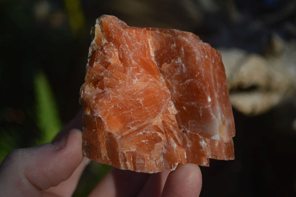 Natural New Sunset Orange Calcite Specimens x 12 From Spitzkop, Namibia