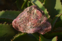 Natural Rough Red Rhodonite Specimens x 4 From Zimbabwe