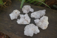 Natural White Cactus Flower Spirit Quartz Specimens x 6 From Boekenhouthoek, South Africa