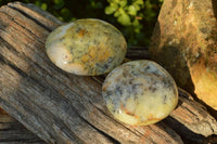 Polished Green & White Dendritic Opal Gallets x 12 From Madagascar - TopRock