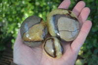 Polished Lovely Mixed Selection Of Palm Stones  x 12 From Madagascar - Toprock Gemstones and Minerals 