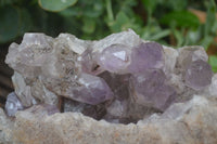 Natural Jacaranda Amethyst Cluster x 1 From Mumbwa, Zambia - TopRock