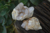 Natural Small Mixed Spirit Quartz Clusters  x 24 From Boekenhouthoek, South Africa - Toprock Gemstones and Minerals 