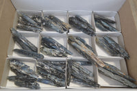 Natural Single Blue Kyanite Crystals  x 44 From Karoi, Zimbabwe