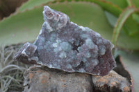 Natural Drusy Coated Ball Malachite On Dolomite Specimens  x 3 From Likasi, Congo