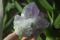 Natural Jacaranda Amethyst Clusters  x 3 From Mumbwa, Zambia - Toprock Gemstones and Minerals 