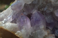 Natural Jacaranda Amethyst Cluster x 1 From Mumbwa, Zambia - TopRock