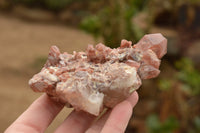 Natural Medium Sized Red Hematoid Phantom Quartz Crystals  x 8 From Karoi, Zimbabwe - TopRock