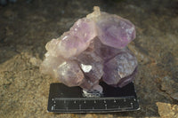 Natural Jacaranda Amethyst Clusters  x 2 From Zambia - Toprock Gemstones and Minerals 