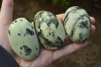 Polished Serpentine (Leopard Stone) Free Forms x 8 From Inyanga, Zimbabwe - TopRock