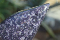 Polished Purple Lepidolite Standing Free Forms  x 2 From Zimbabwe - Toprock Gemstones and Minerals 