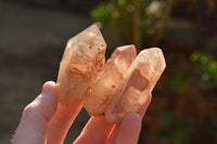 Natural Red Hematoid Phantom Quartz Crystals  x 35 From Karoi, Zimbabwe - TopRock