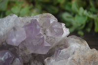 Natural Jacaranda Amethyst Cluster x 1 From Mumbwa, Zambia - TopRock