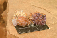 Natural Dark "Amethystos" Amethyst Clusters  x 35 From Kwaggafontein, South Africa - TopRock