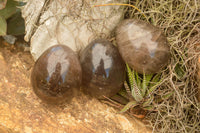 Polished Large Morion Smokey Quartz Eggs x 5 From Madagascar - TopRock