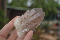 Natural Red Hematoid Quartz Specimens x 12 From Karoi, Zimbabwe - TopRock