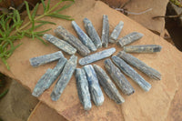 Natural Single Blue Kyanite Crystals  x 35 From Karoi, Zimbabwe - Toprock Gemstones and Minerals 