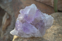 Natural Jacaranda Amethyst Clusters x 2 From Zambia