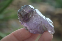 Natural Large Smokey Amethyst / Window Amethyst Crystals  x 12 From Chiredzi, Zimbabwe - Toprock Gemstones and Minerals 