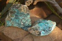 Natural Drusy Coated Chrysocolla Dolomite Specimens x 2 From Likasi, Congo