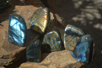 Polished Labradorite Standing Free Forms With Blue & Gold Flash  x 6 From Tulear, Madagascar - TopRock