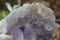 Natural Jacaranda Amethyst Cluster x 1 From Mumbwa, Zambia - TopRock