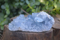 Natural Blue Celestite Crystal Specimens  x 3 From Sakoany, Madagascar - Toprock Gemstones and Minerals 