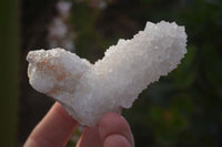 Natural White Cactus Flower Spirit Quartz Specimens x 12 From Boekenhouthoek, South Africa