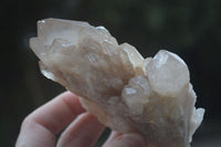 Natural Cascading White Phantom Smokey Quartz Specimens  x 3 From Luena, Congo - Toprock Gemstones and Minerals 