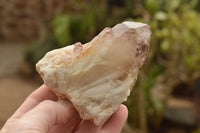 Natural Medium Sized Red Hematoid Phantom Quartz Crystals  x 8 From Karoi, Zimbabwe - TopRock