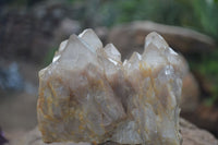 Natural Cascading White Phantom Smokey Quartz Clusters  x 2 From Luena, Congo - Toprock Gemstones and Minerals 