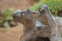 Natural Smokey Quartz Crystal Specimens  x 2 From Erongo Mountains, Namibia - TopRock