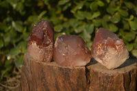 Natural Red Hematoid Quartz Specimens x 24 From Karoi, Zimbabwe