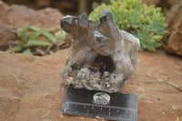 Natural Smokey Quartz Crystal Specimens  x 2 From Erongo Mountains, Namibia - TopRock