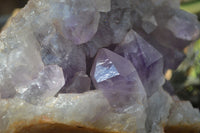 Natural Jacaranda Amethyst Cluster x 1 From Mumbwa, Zambia - TopRock