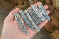 Natural Single Blue Kyanite Crystals  x 35 From Karoi, Zimbabwe - Toprock Gemstones and Minerals 