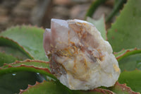 Natural Red Hematoid Quartz Specimens x 3 From Karoi, Zimbabwe