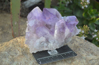 Natural Jacaranda Amethyst Clusters x 2 From Zambia