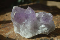 Natural Jacaranda Amethyst Clusters  x 3 From Mumbwa, Zambia - Toprock Gemstones and Minerals 