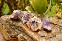 Natural Amethyst & Basalt Mini Geode Specimens  x 35 From Southern Africa - TopRock