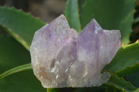 Natural Jacaranda Amethyst Clusters  x 2 From Zambia - Toprock Gemstones and Minerals 