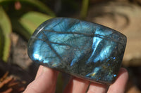 Polished Labradorite Standing Free Forms With Blue & Gold Flash  x 6 From Tulear, Madagascar - TopRock