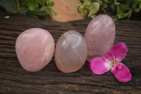 Polished Gemmy Pink Rose Quartz Standing Free Forms  x 3 From Ambatondrazaka, Madagascar - TopRock