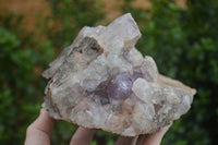 Natural Jacaranda Amethyst Cluster x 1 From Mumbwa, Zambia - TopRock